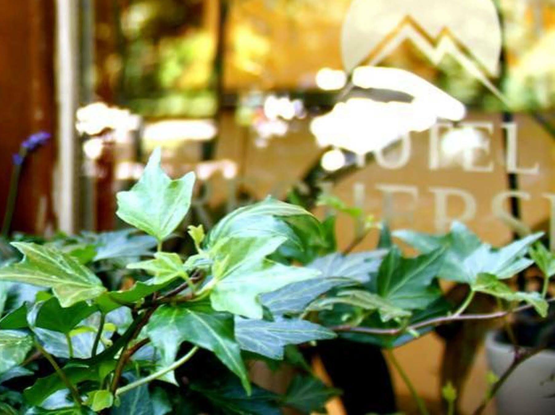 Hotel Brecherspitze München Buitenkant foto